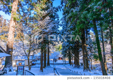 Walking through snowy Hiraizumi Walking through snowy Hiraizumi 135016408