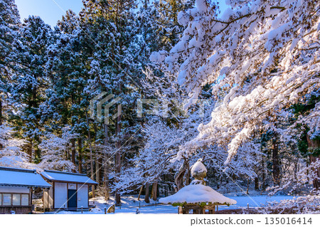 漫步在白雪皚皚的平泉 135016414