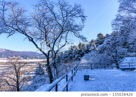 Walking through snowy Hiraizumi 135016420
