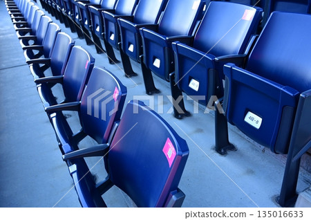 優度子櫻體育場座位 135016633