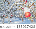 Apple covered with snow in an orchard on a sunny winter day, selective focus. 135017428