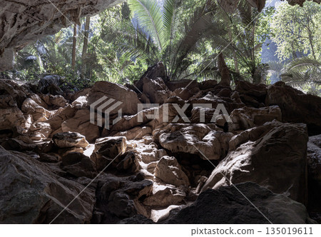 Scenic view of The green palm trees in natural light with stalactites and stalagmites inside of Cave in the foreground. Scenic view of The green palm trees in natural light with stalactites and stalagmites inside of Cave in the foreground. 135019611
