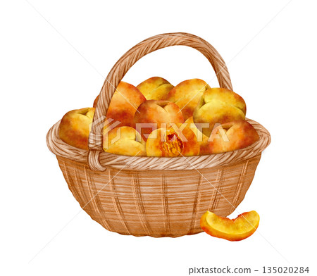 Summer Harvest With Peaches Displayed, Illustration Showcasing Fresh Peaches In Country Basket Setting Summer Harvest With Peaches Displayed, Illustration Showcasing Fresh Peaches In Country Basket Setting 135020284