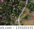 road in the autumn forest drone view 135020335