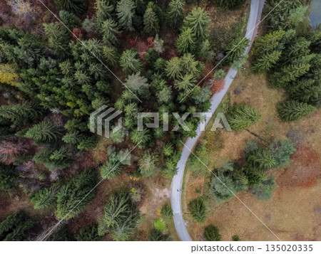 road in the autumn forest drone view road in the autumn forest drone view 135020335