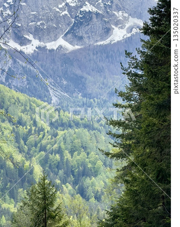 beautiful alps mountains landscape view beautiful alps mountains landscape view 135020337