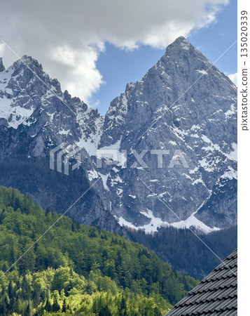 beautiful alps mountains landscape with snow 135020339