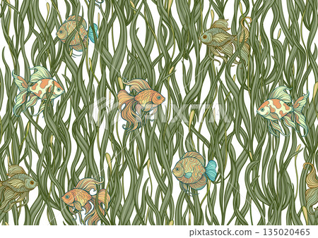 Seamless aquarium pattern with ornamental fish 135020465