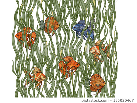 Seamless aquarium pattern with ornamental fish 135020467