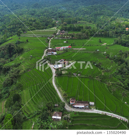 Scenic Rural Landscape, Peaceful Countryside Showing Vibrant Waterlogged Fields Scenic Rural Landscape, Peaceful Countryside Showing Vibrant Waterlogged Fields 135020490