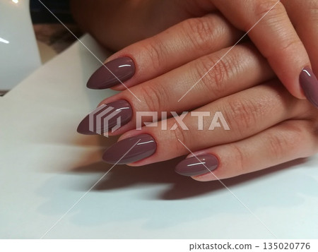 Applying glossy dark mauve polish on long pointed almond nails. Coating extended stiletto shaped fingernails in shiny taupe purple gel creating elegant manicure look indoors Applying glossy dark mauve polish on long pointed almond nails. Coating extended stiletto shaped fingernails in shiny taupe purple gel creating elegant manicure look indoors 135020776