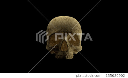 Eerie and opulent skull featuring granular texture and dramatic contrast effects 135020902