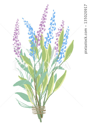 17_Sage_01 17_Sage_01 135020917