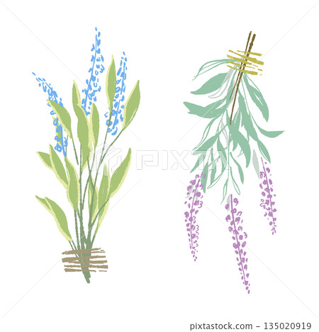 17_Sage_02 135020919