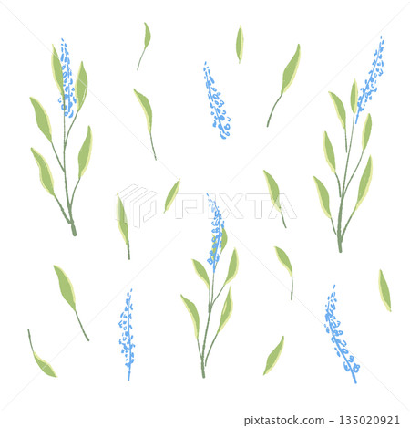 17_Sage_02 135020921