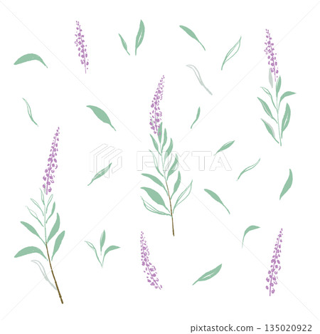 17_Sage_02 17_Sage_02 135020922