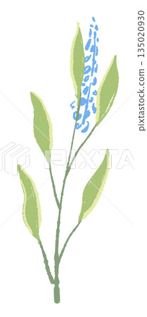 17_Sage_02 135020930