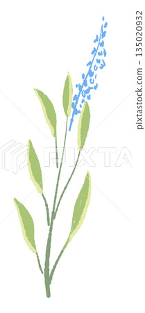 17_Sage_02 17_Sage_02 135020932