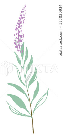 17_Sage_02 135020934