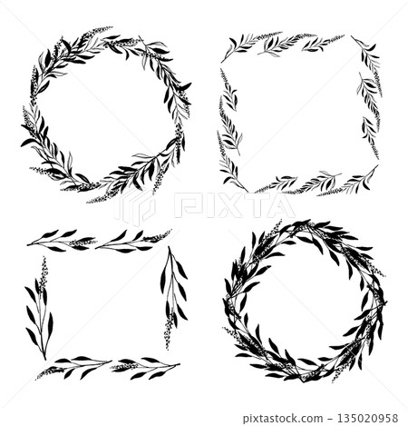 手繪單色插圖，描繪的是鼠尾草 135020958