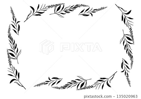 Hand-drawn monochrome illustration of sage 135020963