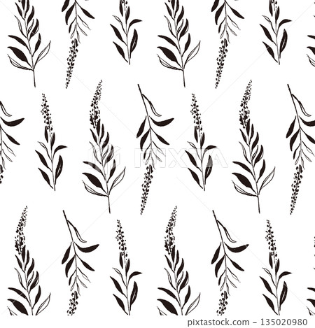 手繪單色插圖，描繪的是鼠尾草 135020980