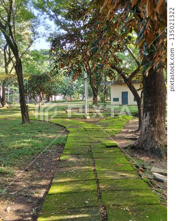Moss-Covered Stone Path Winding Through a Serene Green Park Moss-Covered Stone Path Winding Through a Serene Green Park 135021322