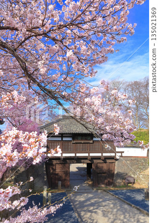 [Nagano Prefecture] Sannomon Gate of Komoro Castle Ruins on a clear day and cherry blossoms in full bloom 135021369