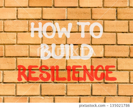 How to build resilience symbol. Concept words How to build resilience on beautiful brown brick wall. Beautiful brick wall background. Business how to build resilience concept. Copy space. How to build resilience symbol. Concept words How to build resilience on beautiful brown brick wall. Beautiful brick wall background. Business how to build resilience concept. Copy space. 135021786