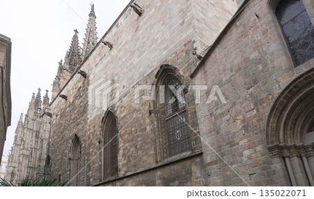 Detailed facade of the barcelona cathedral, made on stone in gothic architectural style Detailed facade of the barcelona cathedral, made on stone in gothic architectural style 135022071