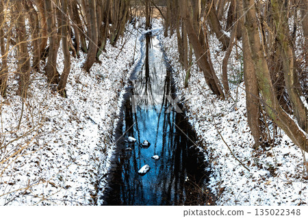Frozen season forest stream between bare trees. 135022348