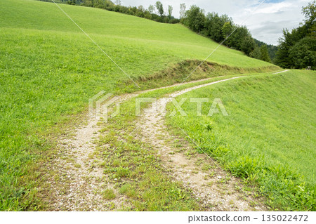 Sunny Mountain Valley Path Surrounded by Green Meadows on a Peaceful Summer Day Sunny Mountain Valley Path Surrounded by Green Meadows on a Peaceful Summer Day 135022472