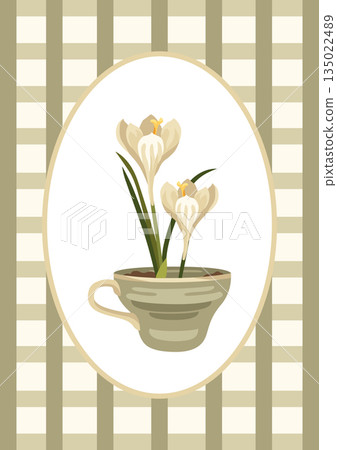 Hand-drawn spring Easter greeting card with teacup planted crocus flowers, frame and decorative checkered background Hand-drawn spring Easter greeting card with teacup planted crocus flowers, frame and decorative checkered background 135022489