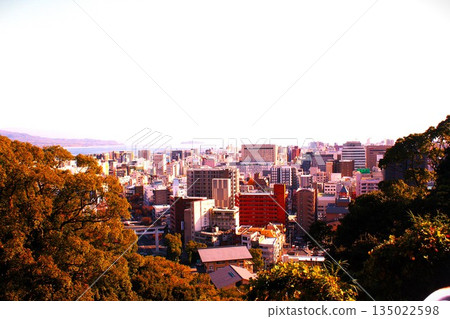 View of the southern part of Kagoshima city 135022598