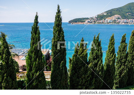 Tall cypress trees framing coastal city and blue sea view. Mediterranean Montenegro landscape balance, natural greenery, urban seaside living and calm summer atmosphere with harmony between 135022735