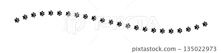 Path of wet or mud paw prints of dog, cat, tiger or raccoon. Border with paw silhouettes. Steps of running or walking wild animals isolated on white background. Vector graphic illustration 135022973