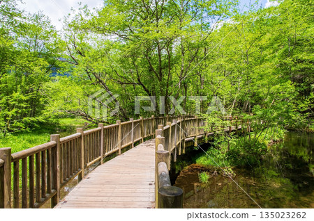 Refreshing Kamikochi "Hiking course and pier around Taisho Pond" (Matsumoto City, Nagano Prefecture) 135023262