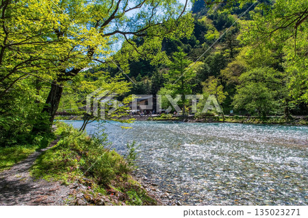 清爽的上高地：「合羽橋周圍生機勃勃的綠色植物」（長野縣松本市） 135023271