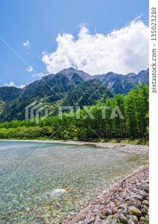 Refreshing Kamikochi "Fresh green larch forest and Azusa River" (Matsumoto City, Nagano Prefecture) Refreshing Kamikochi "Fresh green larch forest and Azusa River" (Matsumoto City, Nagano Prefecture) 135023289