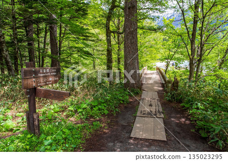 Refreshing Kamikochi "Hiking course among fresh greenery" (Matsumoto City, Nagano Prefecture) 135023295