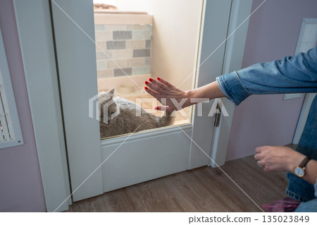 Woman hand rest on glass door of hotel room, farewell to cat. Pet service, touching separaion 135023849