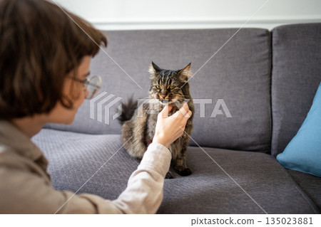 Gentle woman petting cat distracted by something on side on sofa. Curious pet hunting at home 135023881
