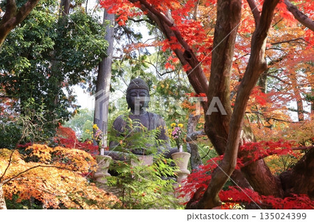 A garden scene with a Buddhist statue among green leaves and red maples A garden scene with a Buddhist statue among green leaves and red maples 135024399