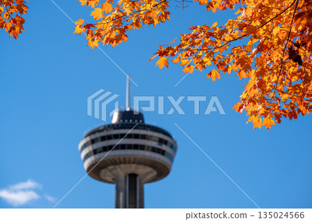 Vibrant autumn foliage and the Skylon Tower observation deck, Ontario, Canada 135024566