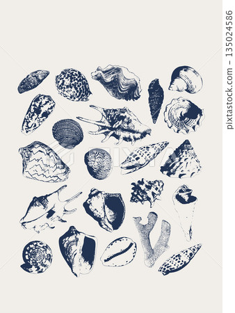Tropical vector underwater style poster of corals and seashells collection Isolated on white background. Card for interior design, prints, fabric or background. 135024586