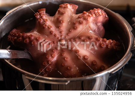Boiled octopus cooking in stainless steel pot Boiled octopus cooking in stainless steel pot 135024956
