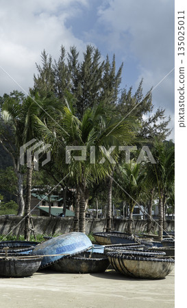 Traditional Vietnamese basket boats on tropical beach with palm trees 135025011