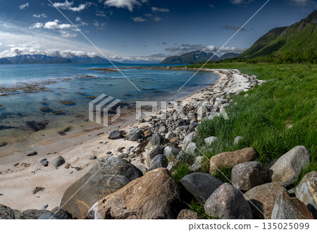 Coastal Landscape With White Sand Beach And Snowy Mountains At Fjord On Lofoten In Norway 135025099