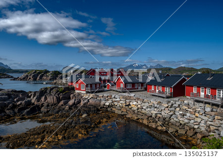 Picturesque Red Rorbuer Huts At The Coast On Lofoten Islands In Norway 135025137