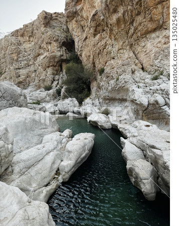 Tranquil Oasis in Oman, Wadi Bani Khadit, A Desert Paradise with Serene Water Pools and Stunning Canyons, Beautiful wadi landscape, oasis with turquoise water and palm trees 135025480